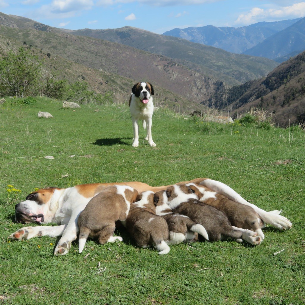 De La Route Des Garrotxes - Sortie en famille