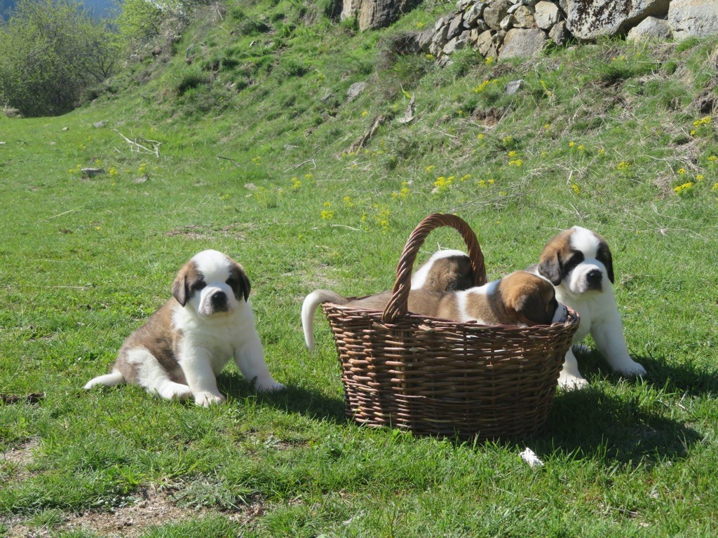 future portée